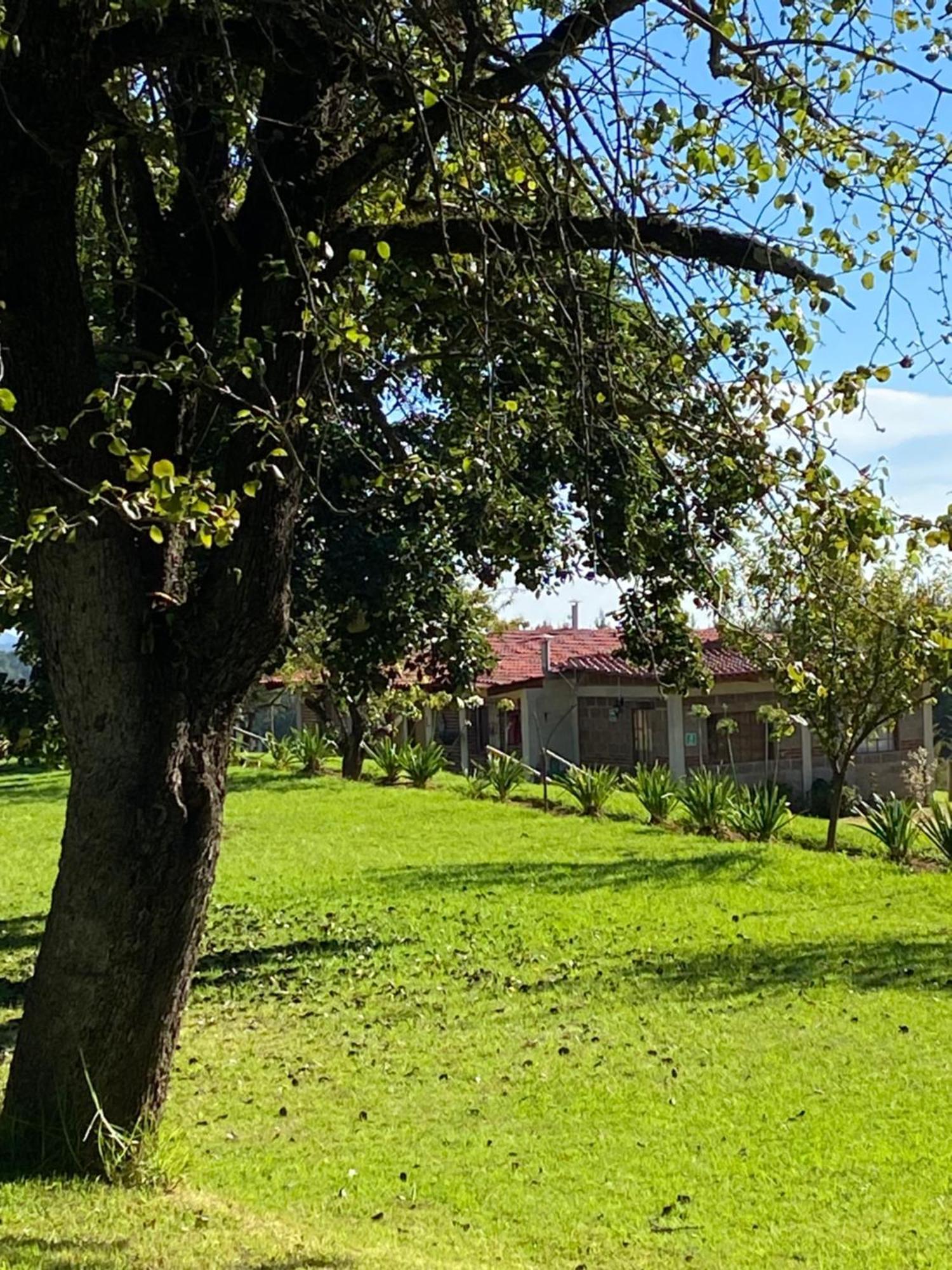 Cabanas Huerta La Mision, Zacatlan Bagian luar foto
